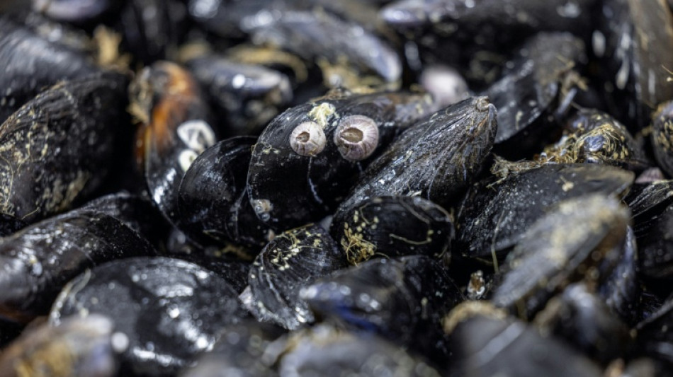 Pesticides et médicaments retrouvés sur tout le littoral français