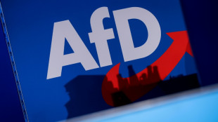 Weitere CDU-Politiker für mehr Offenheit im Umgang mit AfD - aber auch Kritik