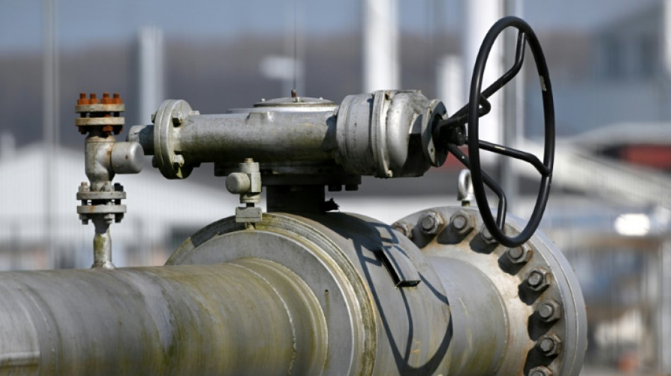 IWH: Gas-Lieferstopp w&uuml;rde Regionen unterschiedlich stark treffen