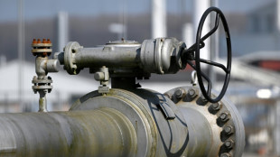 Wirtschaftsverb&auml;nde fordern wegen hoher Energiepreise Entlastungen