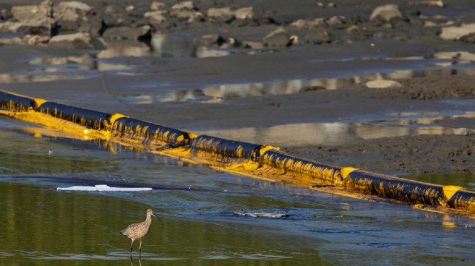 Pipeline-Betreiber zahlen nach &Ouml;lpest in Kalifornien 13 Millionen Dollar