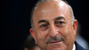 T&uuml;rkei pr&uuml;ft Einhaltung der an Schweden und Finnland gestellten Nato-Bedingungen 
