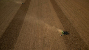 Warsaw, Kyiv make breakthrough on Ukrainian grain transit