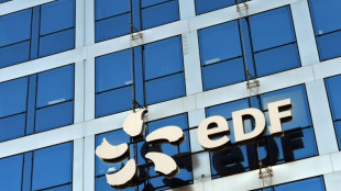 Apr&egrave;s ses d&eacute;boires de 2022, EDF d&eacute;bute une ann&eacute;e de tous les dangers