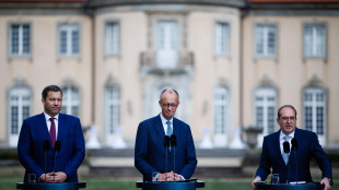 Berlino accelera su legge anti-droni, possibile abbatterli