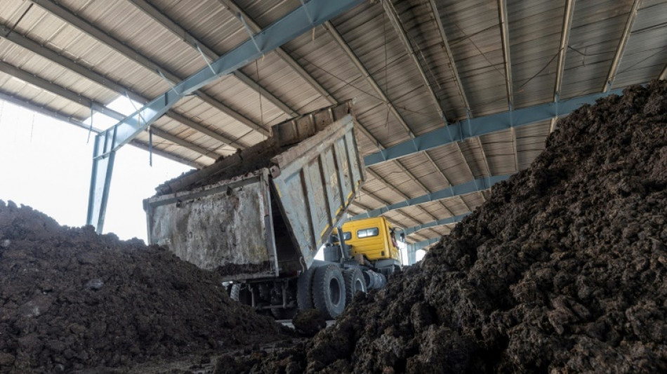 L'Inde mise sur la bouse de vache, une source d'&eacute;nergie renouvelable prometteuse