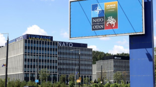 NATO meets to agree next steps in Ukraine membership push