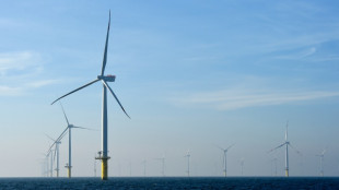La Su&egrave;de annonce un plan pour l'&eacute;olien en mer en plein d&eacute;bat sur le nucl&eacute;aire