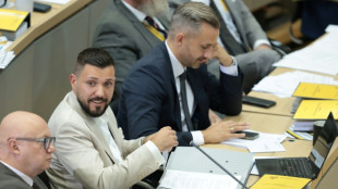 Ultraderecha alemana logra por primera vez desde 1945 la presidencia de un Parlamento regional