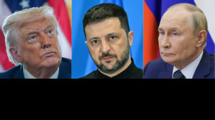 Nach Trump-Putin-Gipfel fordern Europäer nun Gespräche mit Selenskyj