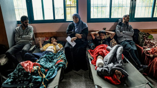 Guerra em Gaza dizima fam&iacute;lias inteiras