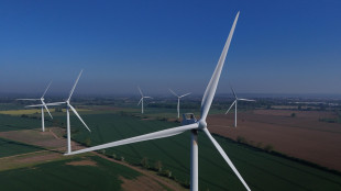 Nel 2024 nel mondo le rinnovabili corrono, il nucleare frena