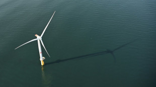 France's 'roadmap' to exit fossil fuels by 2050