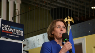 Musk money overshadows Wisconsin court vote