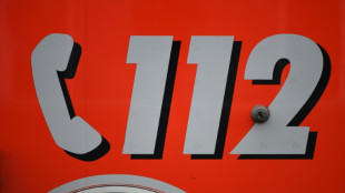 Von schwerem Ger&auml;t eingeklemmt: 62-J&auml;hriger stirbt bei Verladearbeiten