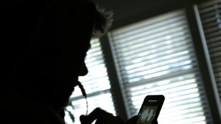 Schlag gegen Internetkriminalit&auml;t: 3500 von Betr&uuml;gern genutzte Rufnummern abgeschaltet