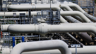 Gme, sale l'indice italiano del prezzo del gas