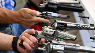 M&aacute;s de 14.000 detenidos en Am&eacute;rica Latina en una operaci&oacute;n contra las armas ilegales, anuncia Interpol