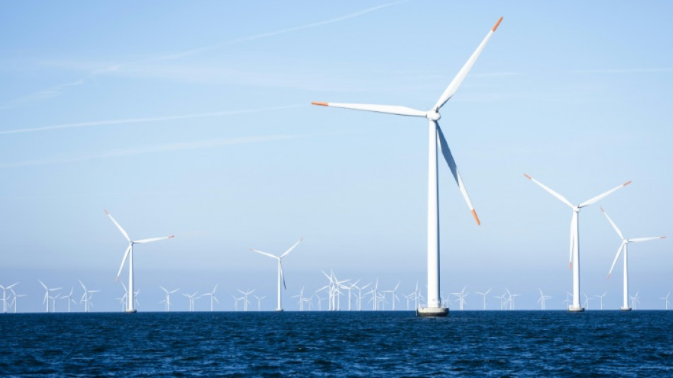 Trump-Regierung ordnet Baustopp für Offshore-Windprojekt in Rhode Island an