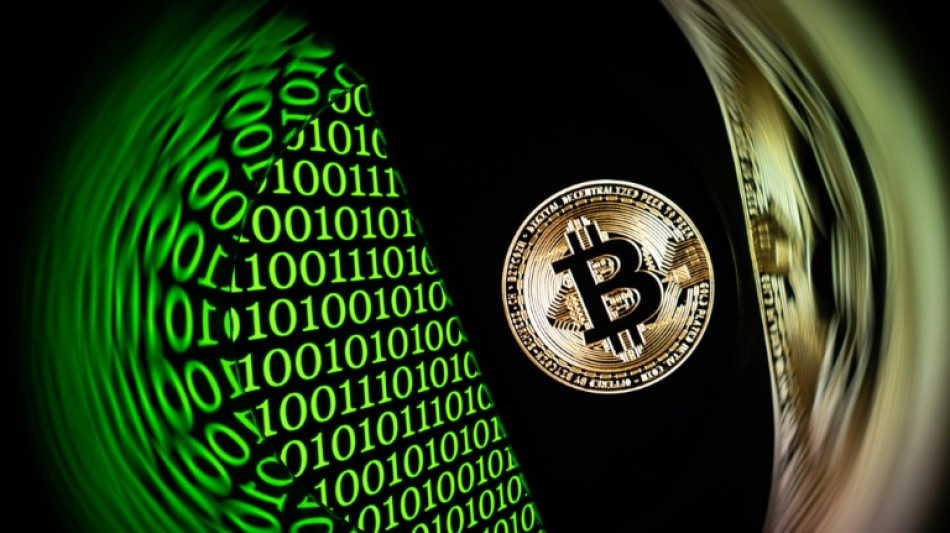 Caixa-preta para o Estado, ref&uacute;gio para investidores: uso das criptomoedas no Ir&atilde;