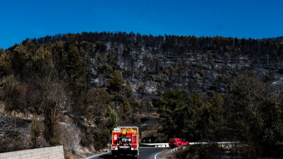 Estabilizado el gran incendio que quemó miles de hectáreas en oeste de España